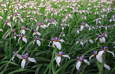 战场体验再度升级《战地风云2042》3.3更新上线